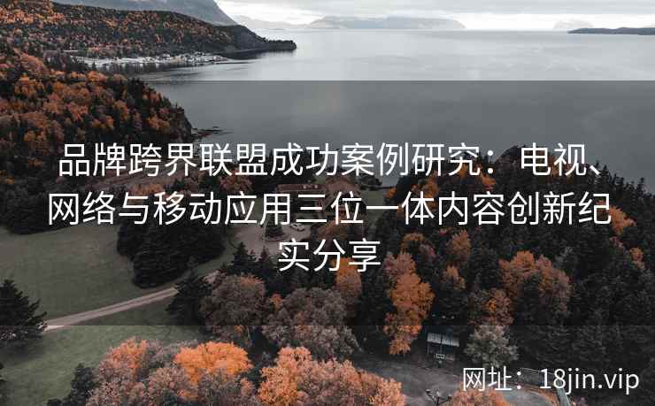 品牌跨界联盟成功案例研究：电视、网络与移动应用三位一体内容创新纪实分享