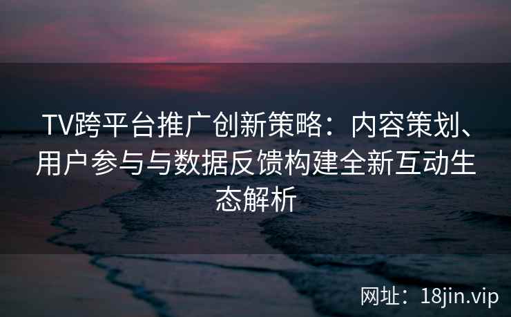 TV跨平台推广创新策略：内容策划、用户参与与数据反馈构建全新互动生态解析