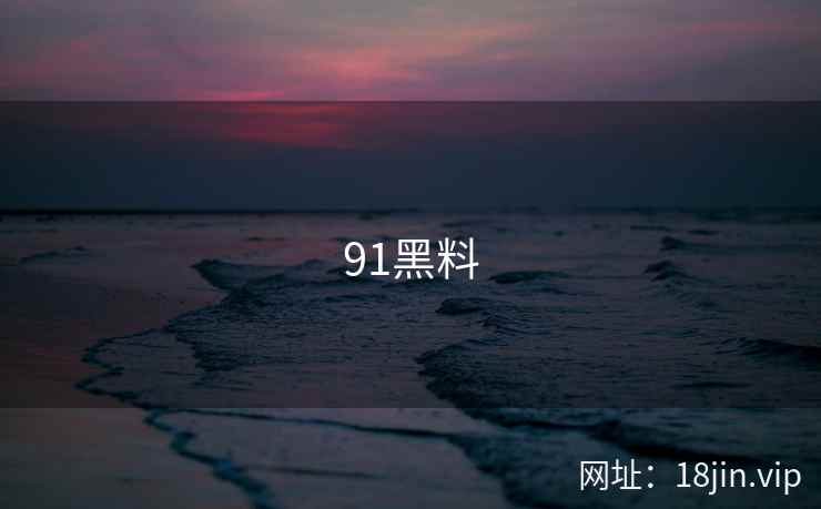91黑料