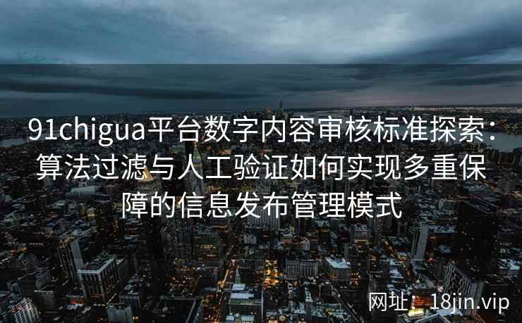 91chigua平台数字内容审核标准探索：算法过滤与人工验证如何实现多重保障的信息发布管理模式