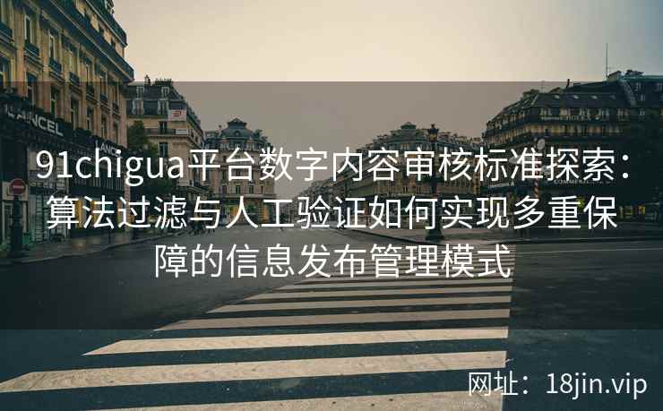 91chigua平台数字内容审核标准探索：算法过滤与人工验证如何实现多重保障的信息发布管理模式