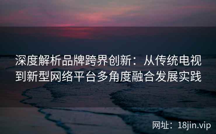 深度解析品牌跨界创新：从传统电视到新型网络平台多角度融合发展实践